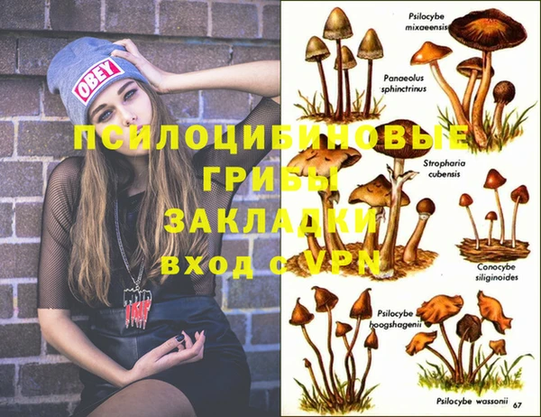 гашишное масло Алексеевка