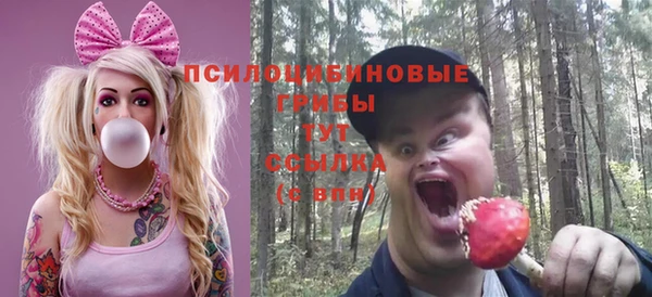 героин Алексин