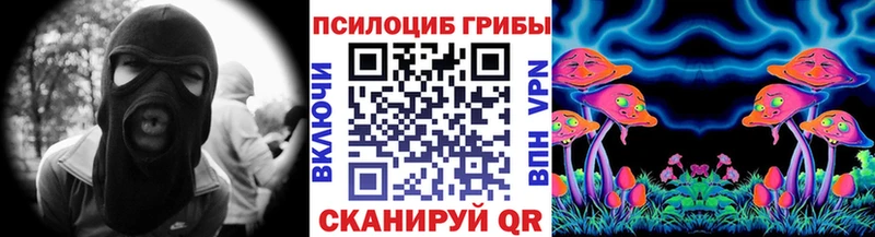цена   Нурлат  даркнет формула  Псилоцибиновые грибы Cubensis 